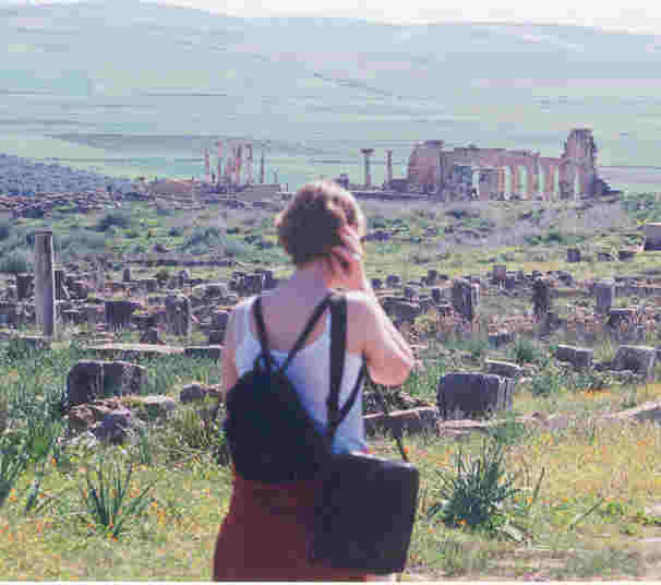 Roman Ruins near Meknes Called Volubis